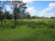 920 Tatham Tomki Rd, Lismore NSW 2480