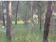 Lot 1 Bruxner Rd, Tabulam NSW 2469