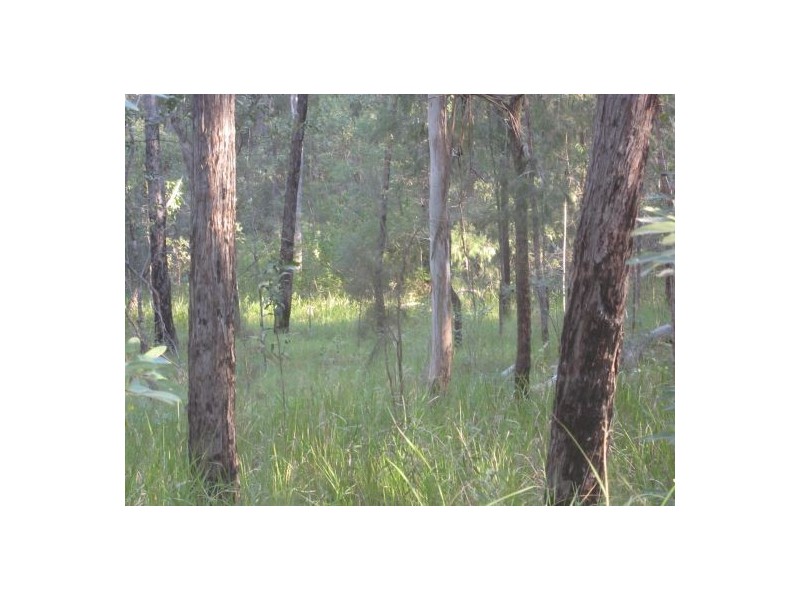 Lot 1 Bruxner Rd, Tabulam NSW 2469