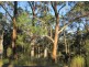 Lot 1 Bruxner Rd, Tabulam NSW 2469