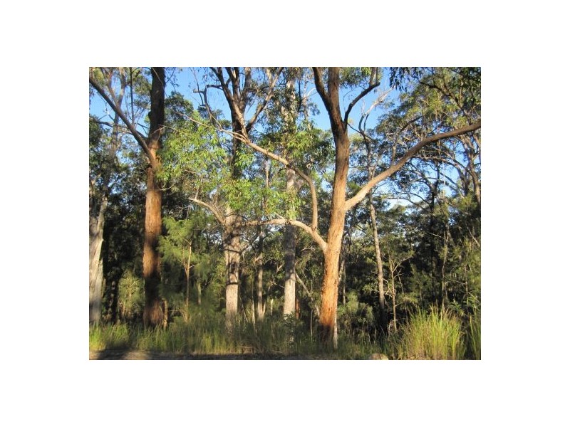 Lot 1 Bruxner Rd, Tabulam NSW 2469