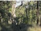 Lot 1 Bruxner Rd, Tabulam NSW 2469