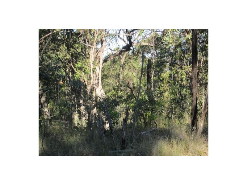 Lot 1 Bruxner Rd, Tabulam NSW 2469