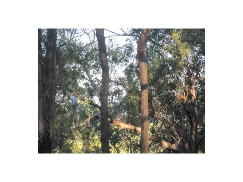 Lot 1 Bruxner Rd, Tabulam NSW 2469