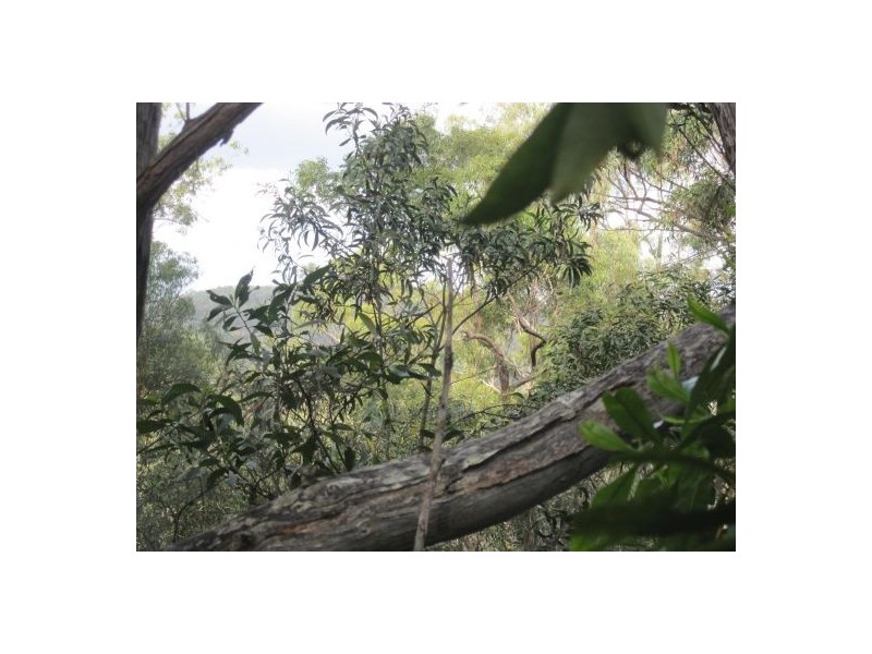 Lot 1 Bruxner Rd, Tabulam NSW 2469