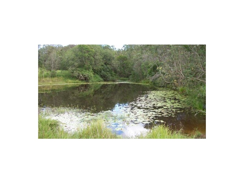 6 Hiscockes Lane, Theresa Creek NSW 2469