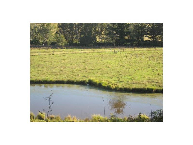 6 Hiscockes Lane, Theresa Creek NSW 2469