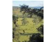 6 Hiscockes Lane, Theresa Creek NSW 2469