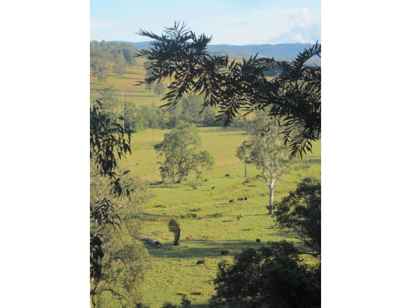 6 Hiscockes Lane, Theresa Creek NSW 2469