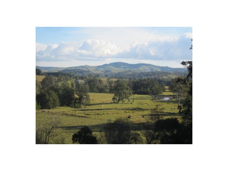 6 Hiscockes Lane, Theresa Creek NSW 2469