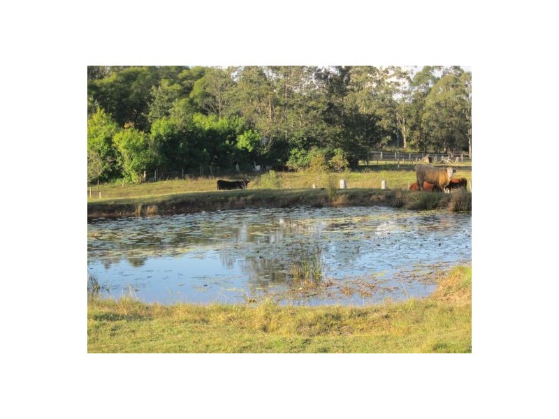 6 Hiscockes Lane, Theresa Creek NSW 2469