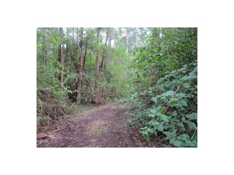 302 Brewers Rd, Rappville NSW 2469