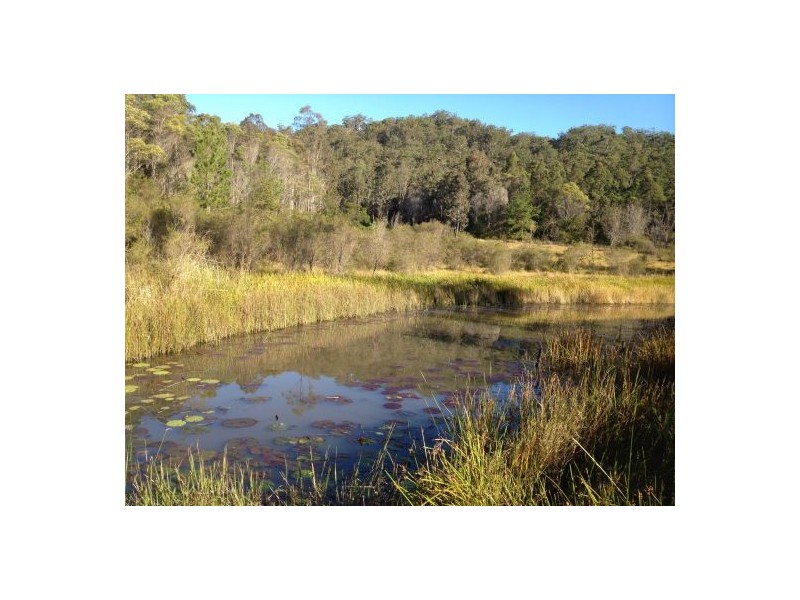 302 Brewers Rd, Rappville NSW 2469