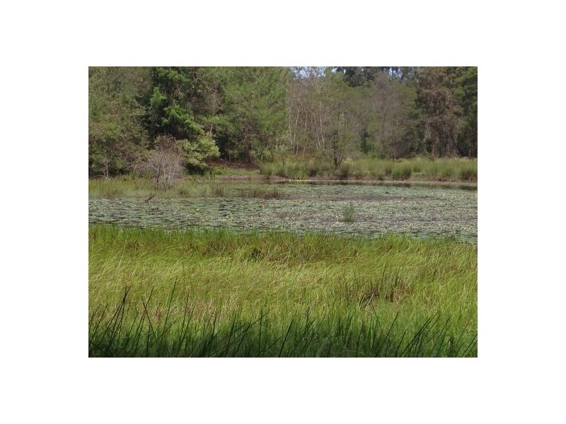 302 Brewers Rd, Rappville NSW 2469