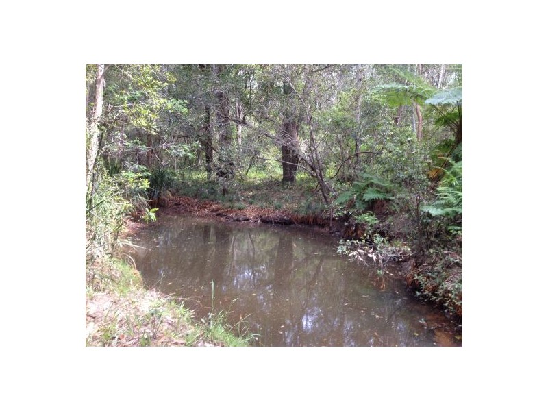 302 Brewers Rd, Rappville NSW 2469