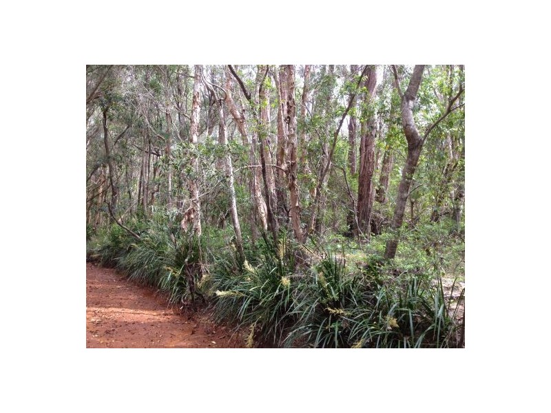 302 Brewers Rd, Rappville NSW 2469