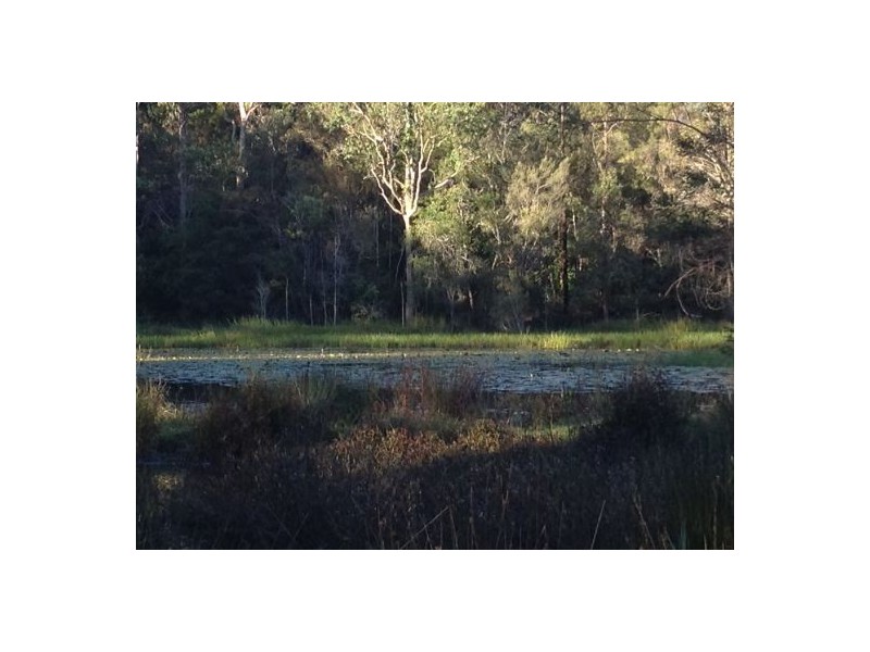 302 Brewers Rd, Rappville NSW 2469