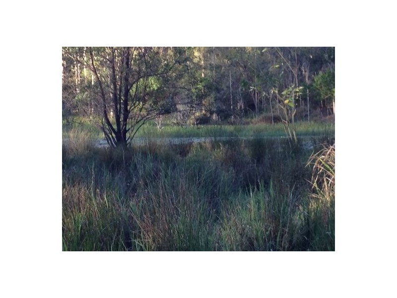 302 Brewers Rd, Rappville NSW 2469