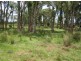 Lot 36 Old Tenterfield Rd, Rappville NSW 2469