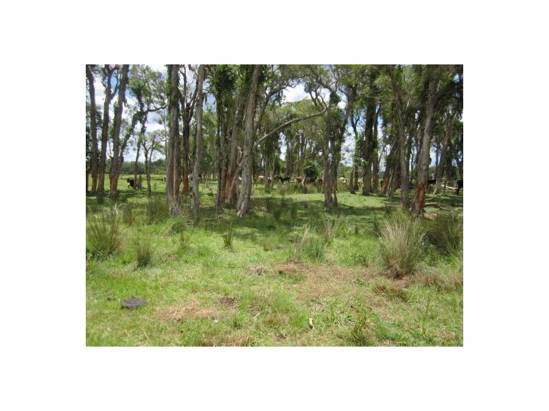 Lot 36 Old Tenterfield Rd, Rappville NSW 2469
