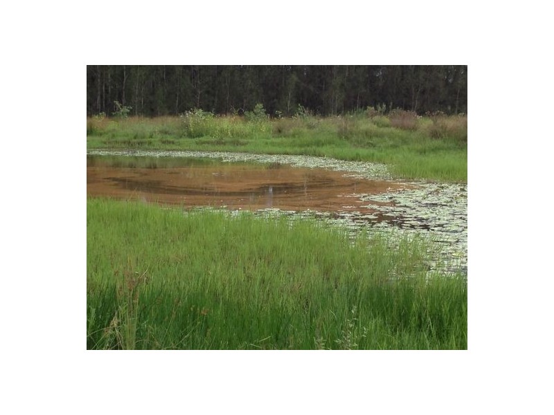 Lot 36 Old Tenterfield Rd, Rappville NSW 2469