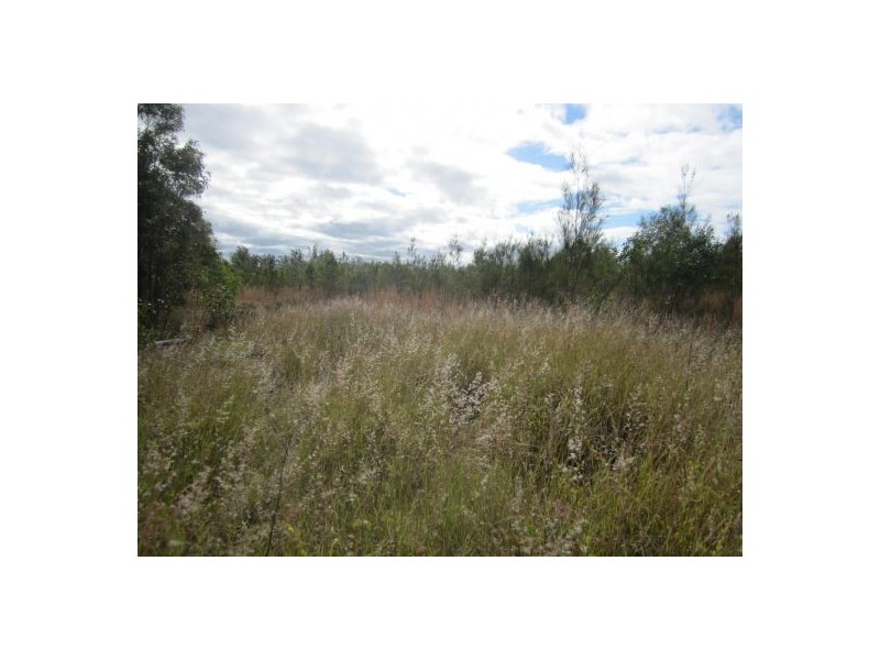 1226 Old Tenterfield Rd, Rappville NSW 2469