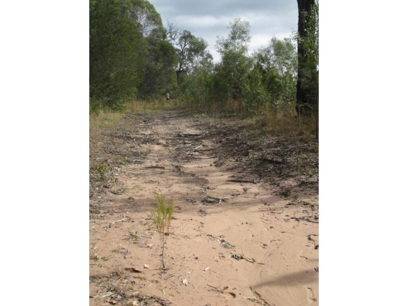 1226 Old Tenterfield Rd, Rappville NSW 2469