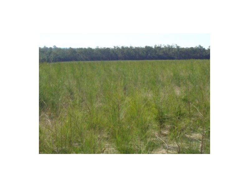 Lot 2 Clearfield Rd, Rappville NSW 2469