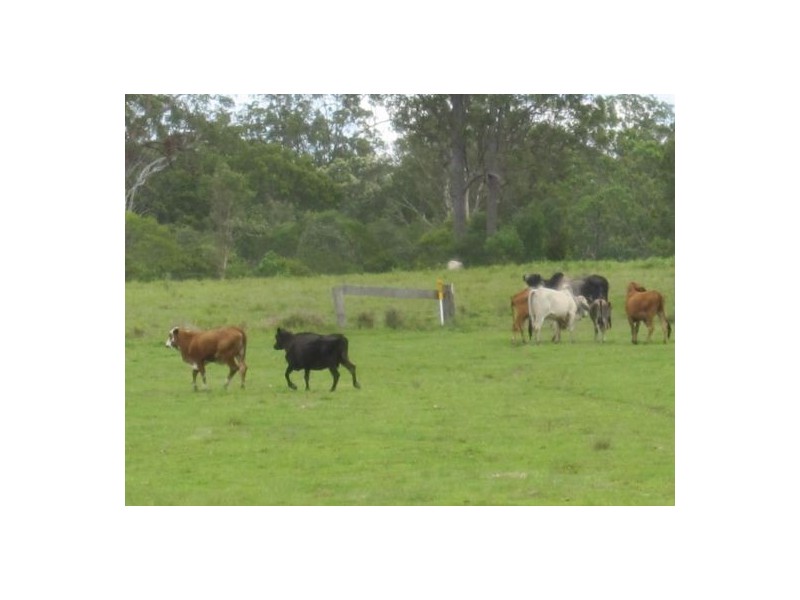 Lot 2 Summerland Way, Rappville NSW 2469