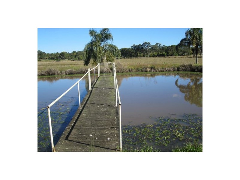 6 Forest Grove, Fairy Hill NSW 2470