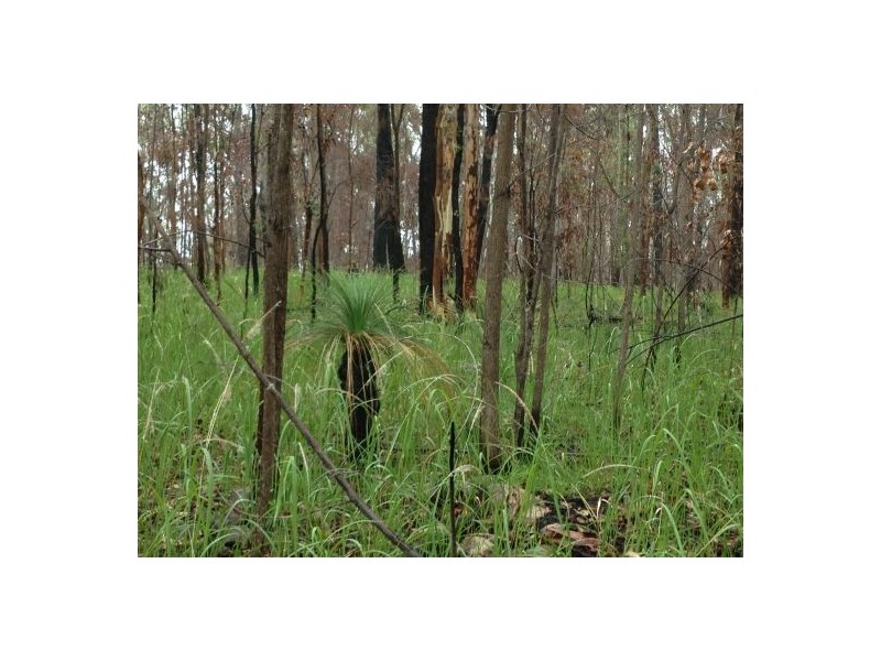 Lot 148 Sugarbag Rd, Tabulam NSW 2469