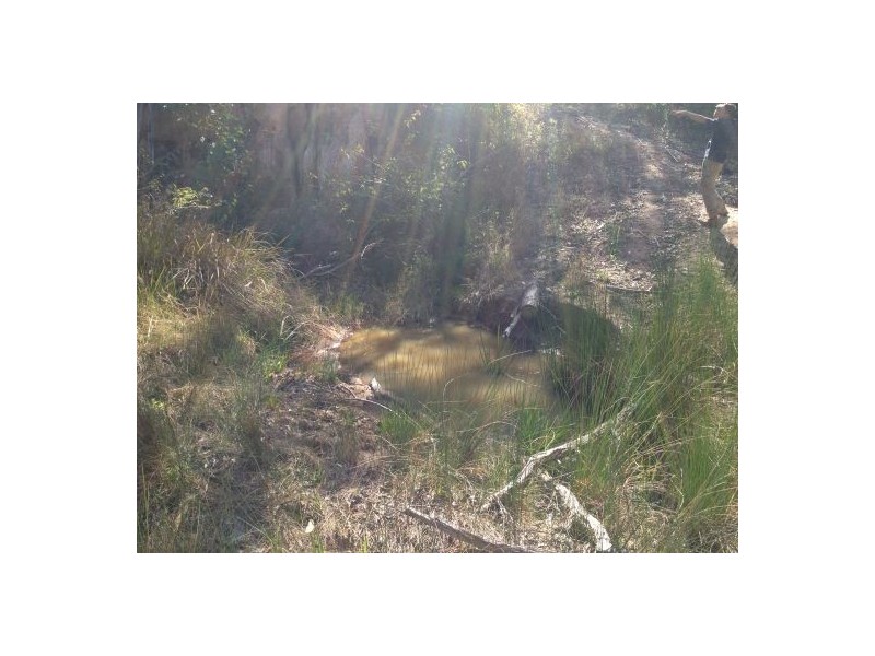 Lot 148 Sugarbag Rd, Tabulam NSW 2469