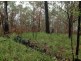 Lot 148 Sugarbag Rd, Tabulam NSW 2469
