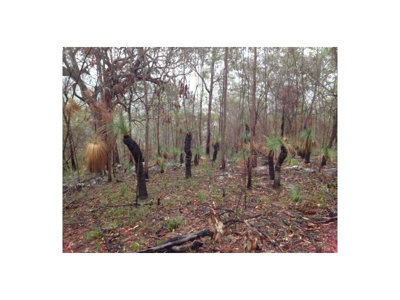 Lot 148 Sugarbag Rd, Tabulam NSW 2469