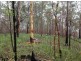 Lot 148 Sugarbag Rd, Tabulam NSW 2469