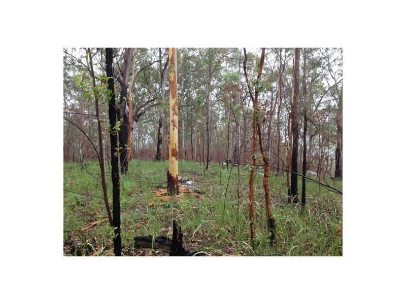Lot 148 Sugarbag Rd, Tabulam NSW 2469