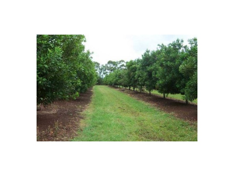 100 Lees Lane Hogarth Range, Casino NSW 2470