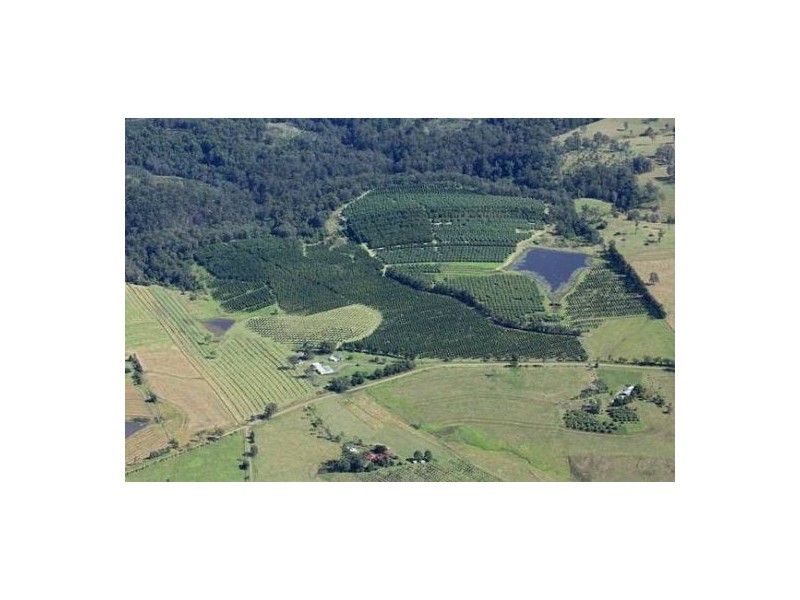 100 Lees Lane Hogarth Range, Casino NSW 2470