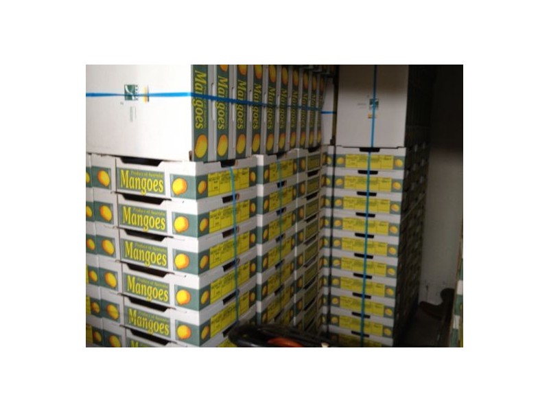 100 Lees Lane Hogarth Range, Casino NSW 2470