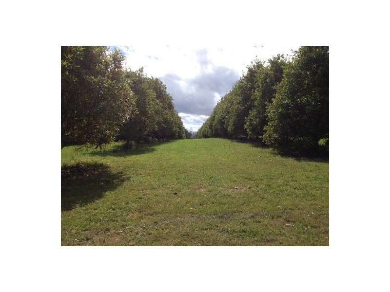 100 Lees Lane Hogarth Range, Casino NSW 2470