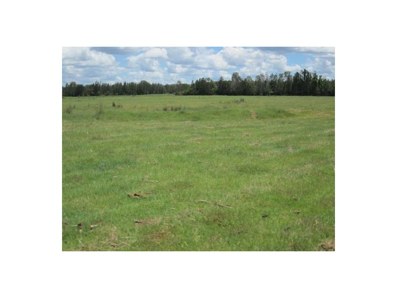 1600 Old Tenterfield Rd, Rappville NSW 2469