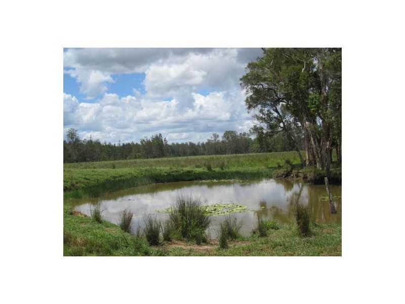 1600 Old Tenterfield Rd, Rappville NSW 2469