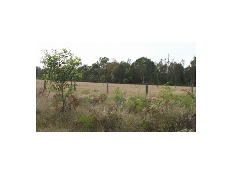 1600 Old Tenterfield Rd, Rappville NSW 2469