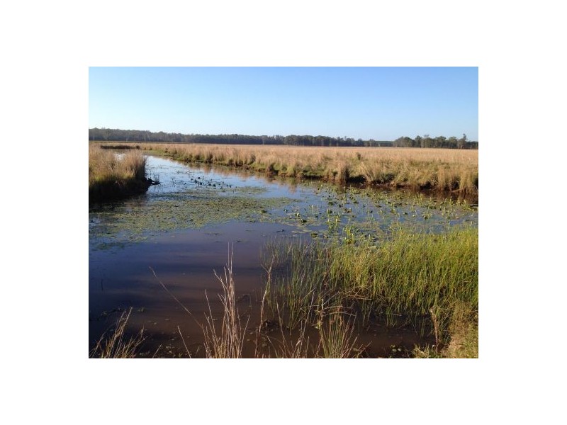 2577 Old Tenterfield Rd, Rappville NSW 2469