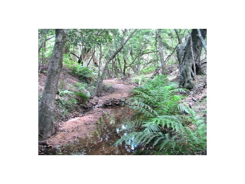 2577 Old Tenterfield Rd, Rappville NSW 2469