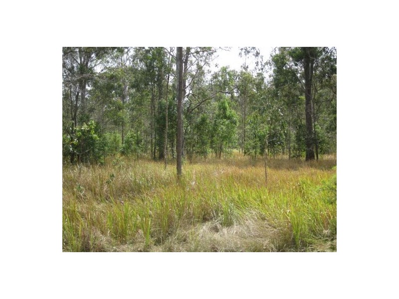 2577 Old Tenterfield Rd, Rappville NSW 2469