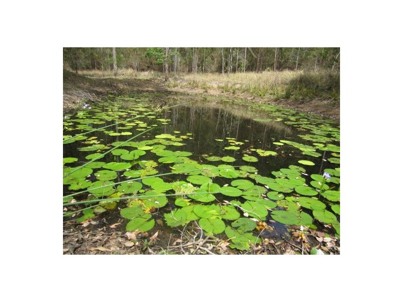 2577 Old Tenterfield Rd, Rappville NSW 2469