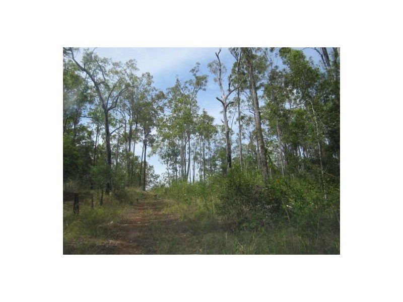 2577 Old Tenterfield Rd, Rappville NSW 2469