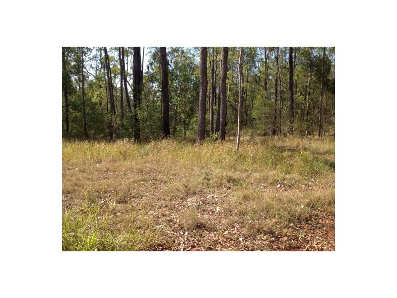 2577 Old Tenterfield Rd, Rappville NSW 2469