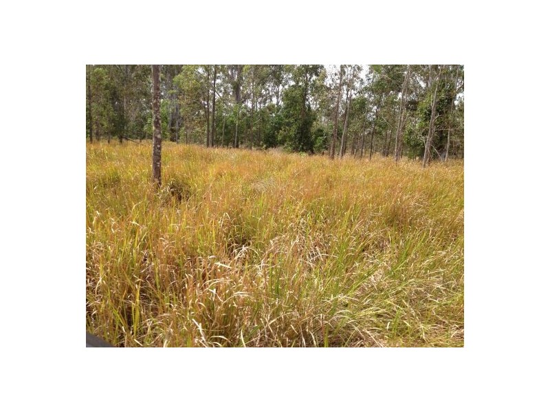 2577 Old Tenterfield Rd, Rappville NSW 2469